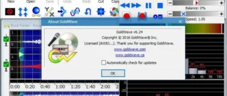 Aktivatsiya Goldwave 6.24 Portable By Vovava.webp