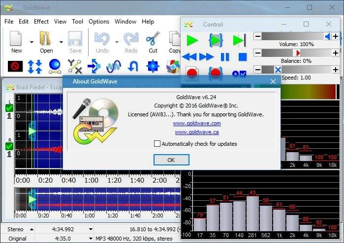 Aktivatsiya Goldwave 6.24 Portable By Vovava.webp