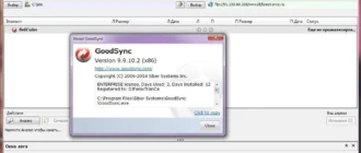 Aktivatsiya Goodsync Enterprise 9.9.10.2.webp