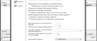 Aktivatsiya Goodsync Enterprise 9.9.10.5 Final Portable.webp