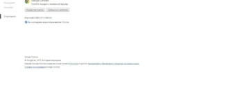 Aktivatsiya Google Chrome 44.0.2403.157 Stable.webp
