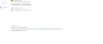 Aktivatsiya Google Chrome 45.0.2454.85 Stable.webp