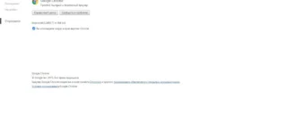 Aktivatsiya Google Chrome 46.0.2490.71 Enterprise.webp