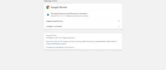 Aktivatsiya Google Chrome 60.0.3112.113 Stable Enterprise.webp