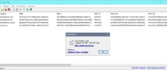 Aktivatsiya Hashmyfiles 2.44 Portable.webp