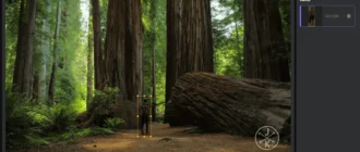 Aktivatsiya Hitpaw Object Remover 1.0.0.16 Repack By Elchupacabra.webp