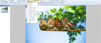 Aktivatsiya Hypersnap 7.29.03 Repack By Dakov.jpg