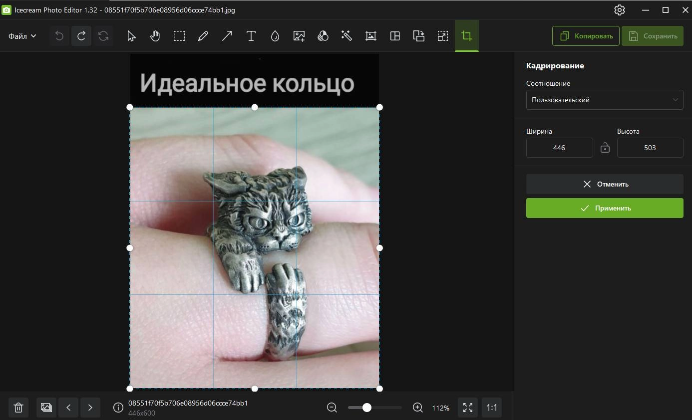 Aktivatsiya Icecream Photo Editor 1.34.webp