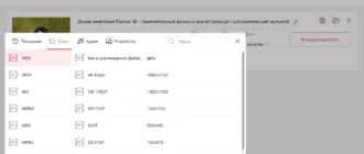 Aktivatsiya Icecream Video Converter Pro 1.43 Portable By 7997.webp