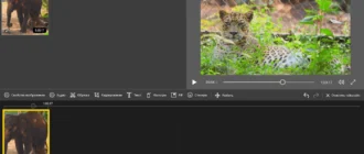 Aktivatsiya Icecream Video Editor Pro 3.10 Portable By 7997.webp