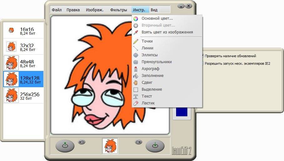 Aktivatsiya Iconedit2 6.8.jpg