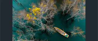 Aktivatsiya Imageglass 8.10.9.27 Portable.webp