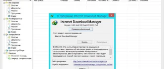Aktivatsiya Internet Download Manager 6.23 Build 19 Final.webp