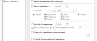 Aktivatsiya Internet Download Manager 6.29 Build 1.webp