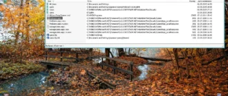 Aktivatsiya Ivan Ion Xp 5.1.2600 3.webp