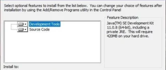 Aktivatsiya Java Se Development Kit 17.0.11 Lts.webp