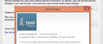 Aktivatsiya Java Se Runtime Environment 8.0 Update 101102.webp