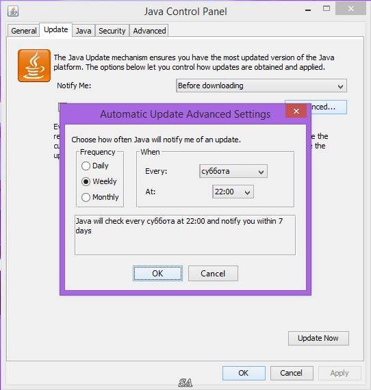 Aktivatsiya Java Se Runtime Environment 8.0 Update 60.webp