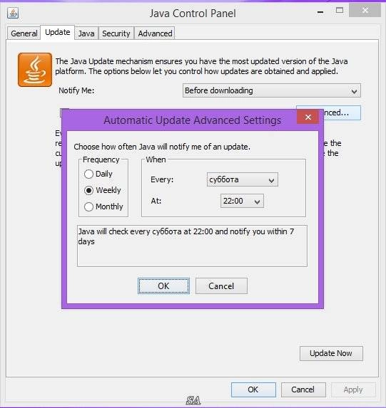 Aktivatsiya Java Se Runtime Environment 8.0 Update 77.webp