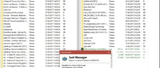 Aktivatsiya Just Manager 0.1 Alpha 54 Portable.webp