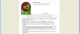 Aktivatsiya K Meleon76 Pro Rc Ru Portable.webp