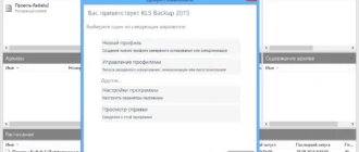 Aktivatsiya Kls Backup Professional 8.4.0.3.webp