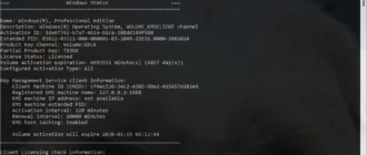 Aktivatsiya Kms Vl All V53 Aio Portable 53.webp
