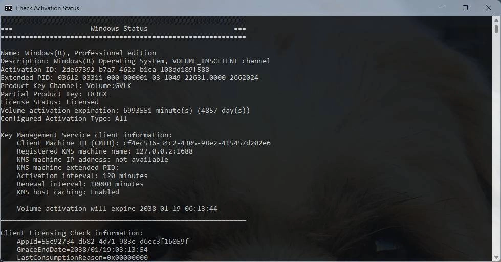 Aktivatsiya Kms Vl All V53 Aio Portable 53.webp