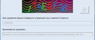 Aktivatsiya Kaspersky Lab Products Remover 1.0.976.jpg