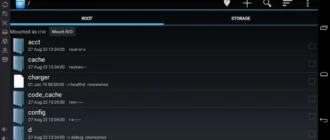 Aktivatsiya Koplayer 2.0.0.webp