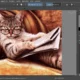 Aktivatsiya Krita 3.1 Portable.webp