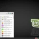 Aktivatsiya Lmde 3 Cindy Xfce Edition By Lazarus.webp