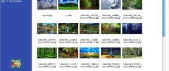 Aktivatsiya Light Image Resizer 6.1.5.0 Repack By Tryroom.webp