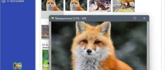 Aktivatsiya Light Image Resizer 6.2.0 Portable By 7997.webp