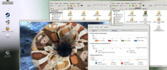Aktivatsiya Linux Mate 22.2.16 Dlya Doma I Igr.webp