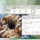 Aktivatsiya Linux Mate 22.2.16 Dlya Doma I Igr.webp