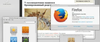 Aktivatsiya Linux Mint 17.2 Oem Rafaela 2xdvd.webp