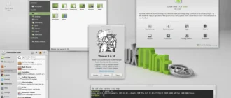 Aktivatsiya Linux Mint 17.3 Rosa Xfce 2xdvd.webp