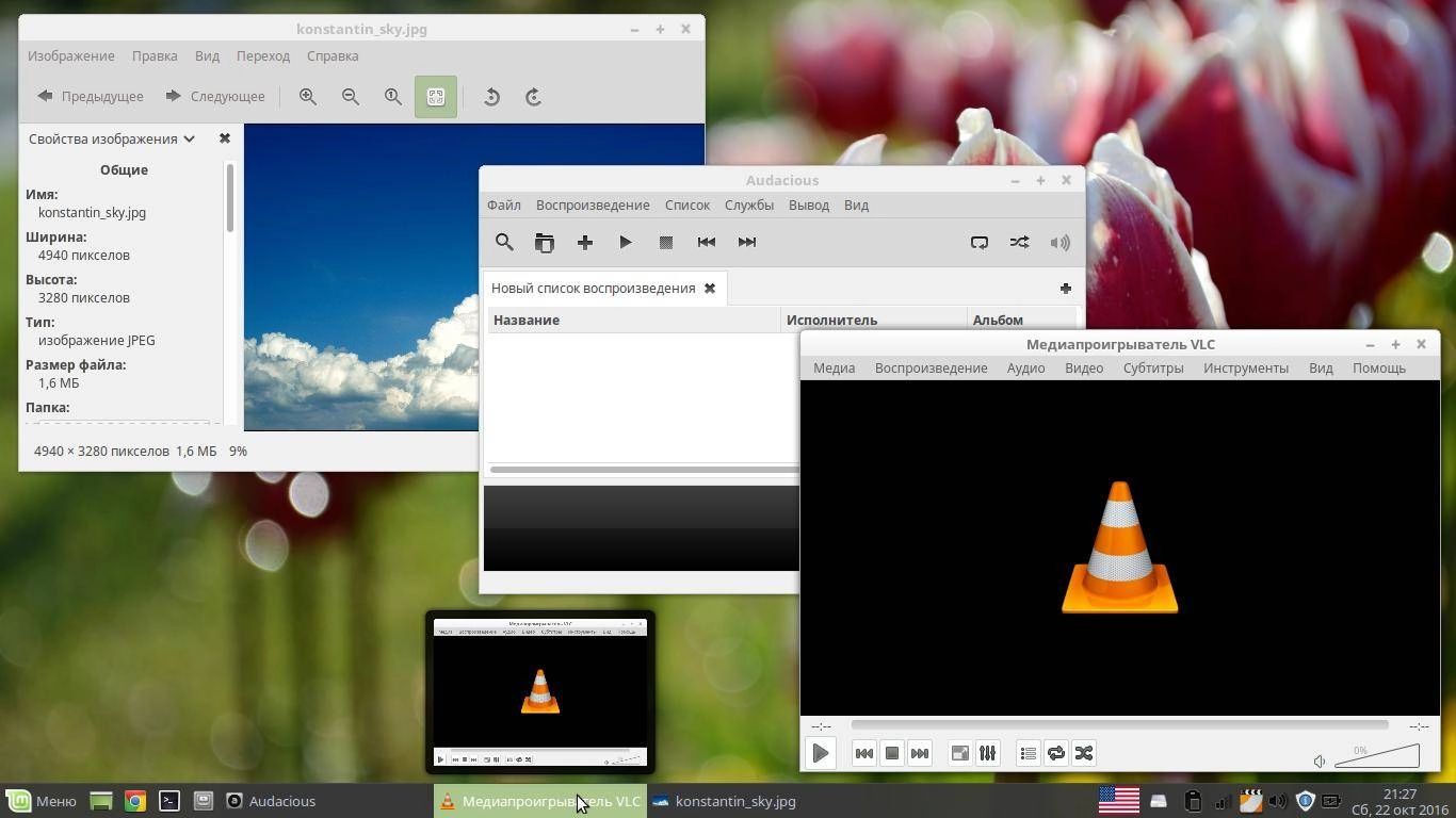 Aktivatsiya Linux Mint 18 Sarah By Lazarus.webp