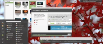 Aktivatsiya Linux Mint 18.1 Serena 2xdvd.webp