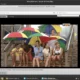 Aktivatsiya Linux Mint 18.1 Xfce Dlya Tv 1xdvd.webp
