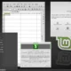 Aktivatsiya Linux Mint 18.2 Sonya 4xdvd.webp