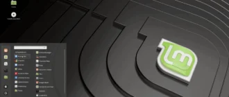 Aktivatsiya Linux Mint 19.1 Tessa 3xdvd.webp