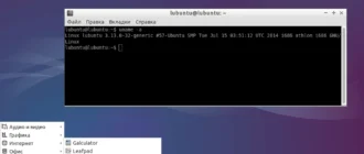 Aktivatsiya Lubuntu 14.04.01 Trusty Tahr 2xc.webp
