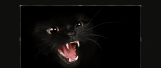 Aktivatsiya Luminar 4.3.0.7119 Repack By Elchupacabra.webp