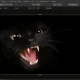 Aktivatsiya Luminar 4.3.0.7119 Repack By Elchupacabra.webp