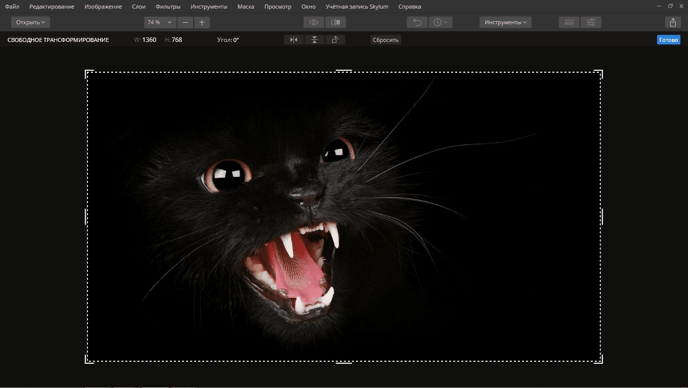 Aktivatsiya Luminar 4.3.0.7119 Repack By Elchupacabra.webp