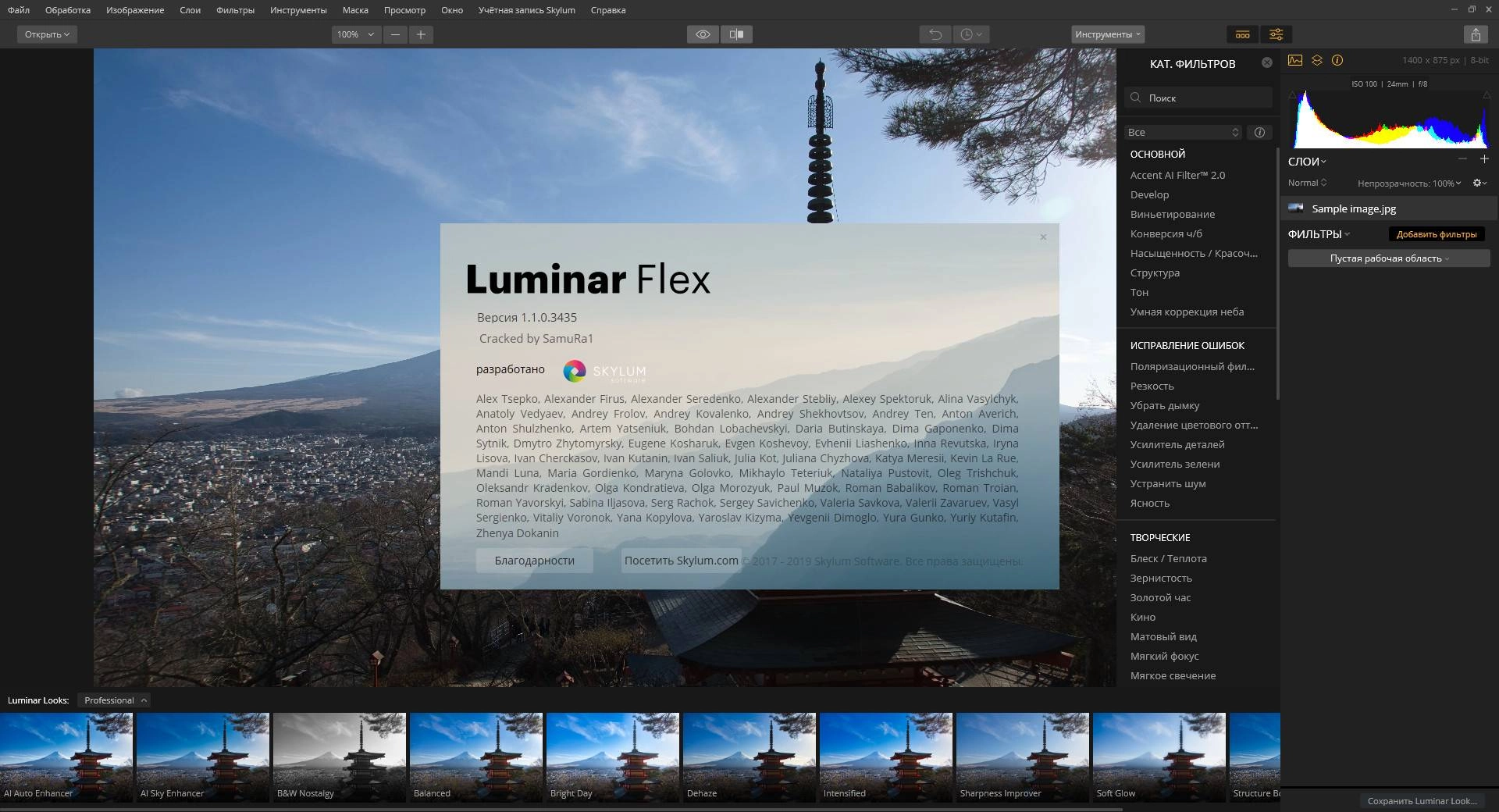 Aktivatsiya Luminar Flex 1.1.0.3435 Repack By Elchupacabra.webp