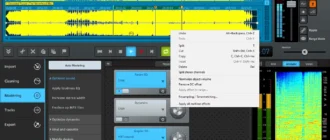 Aktivatsiya Magix Sound Forge Audio Cleaning Lab 3 25.0.0.43.webp