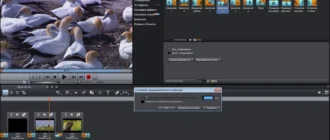 Aktivatsiya Magix Video Delyuks 21 Plus 14.0.0.160 Repack By Kpojiuk.webp